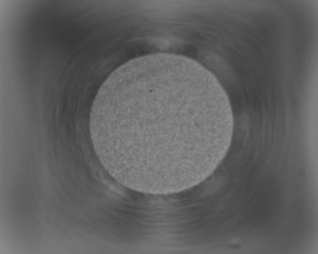 X0000081351105200702082247