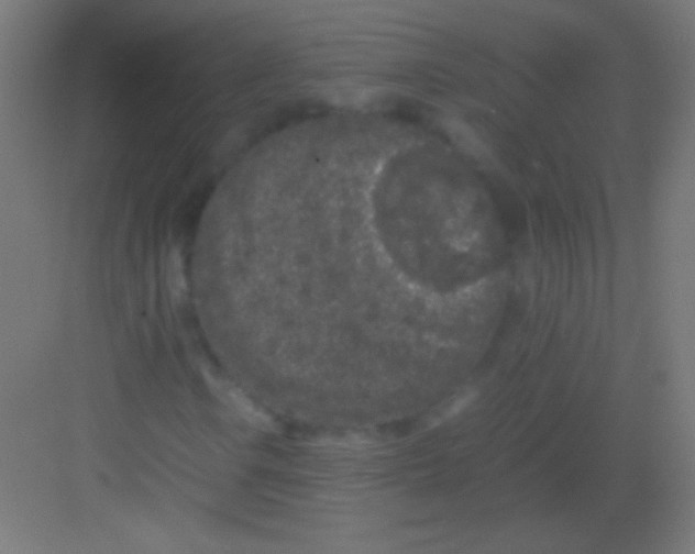 X0000081351106200702082247