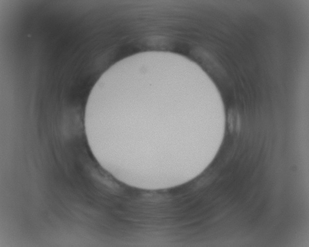 X0000081351107200702082247