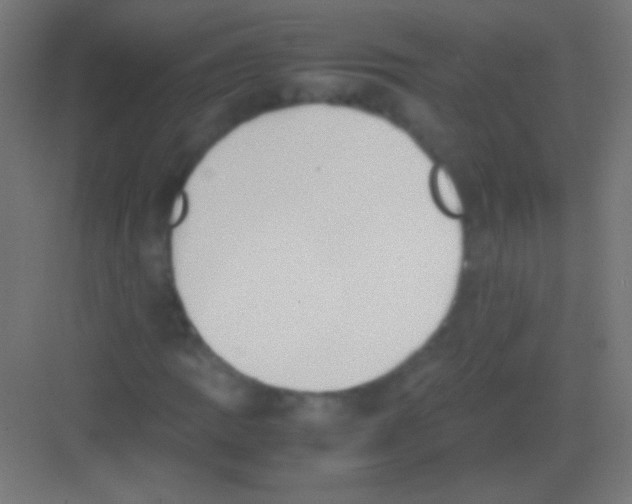 X0000081351109200702082247