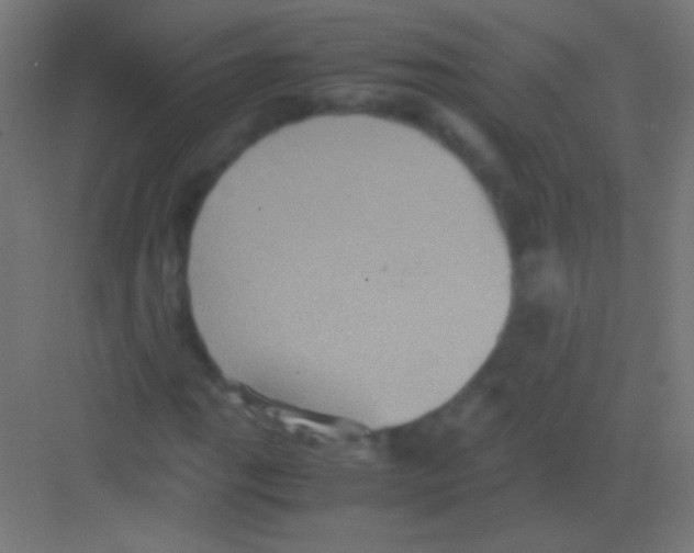 X0000081351111200702082247