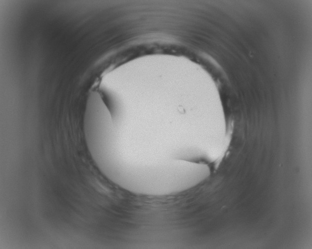 X0000081351112200702082247