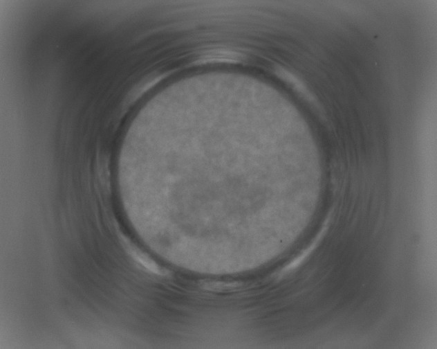 X0000081351113200702082247