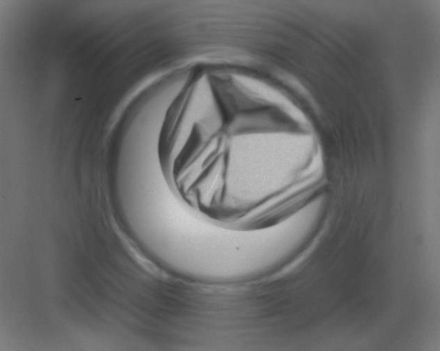 X0000081351114200702082247