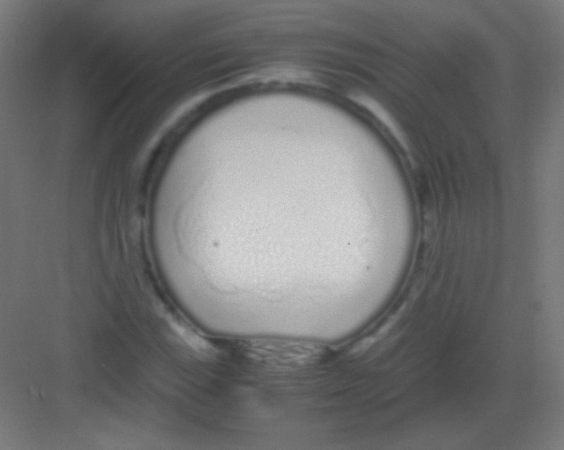 X0000081351115200702082247