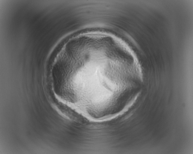 X0000081351116200702082247