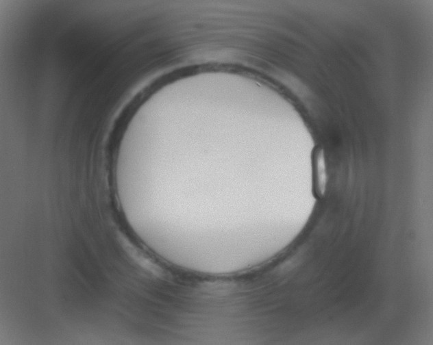 X0000081351118200702082247