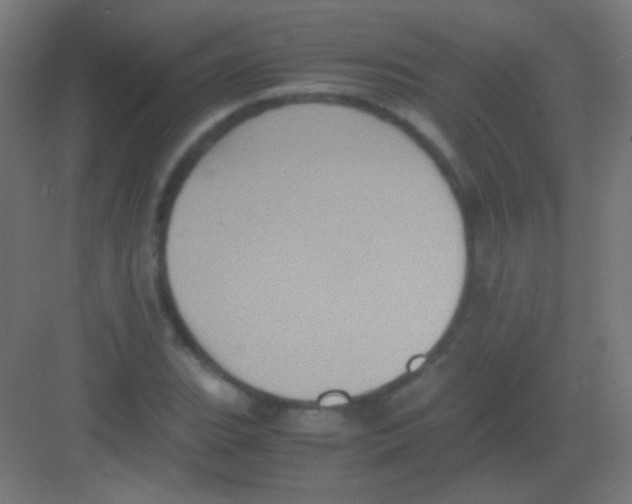 X0000081351119200702082247