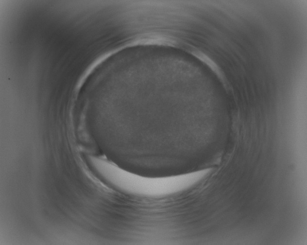 X0000081351120200702082247