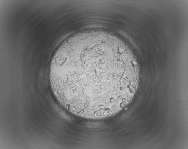 X0000081351121200702082247