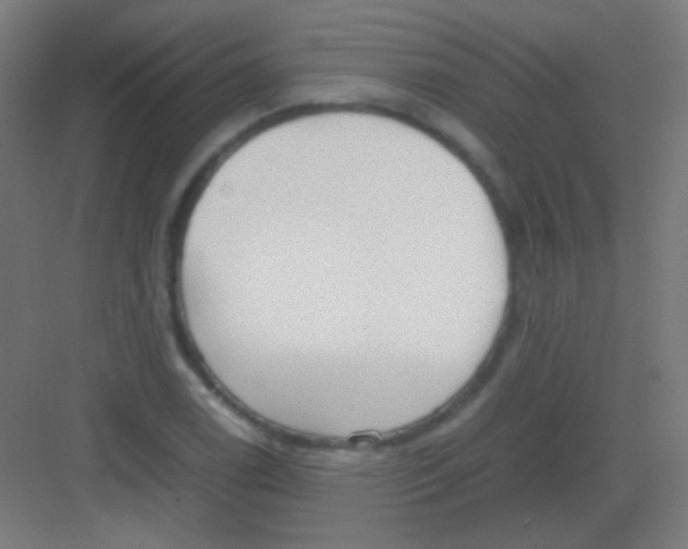 X0000081351122200702082247