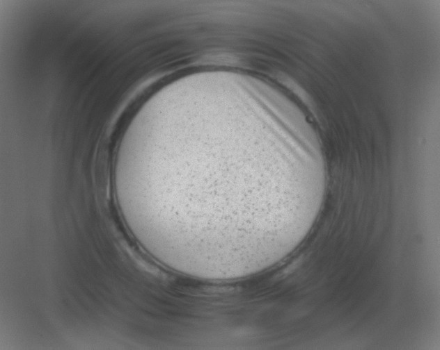 X0000081351123200702082247