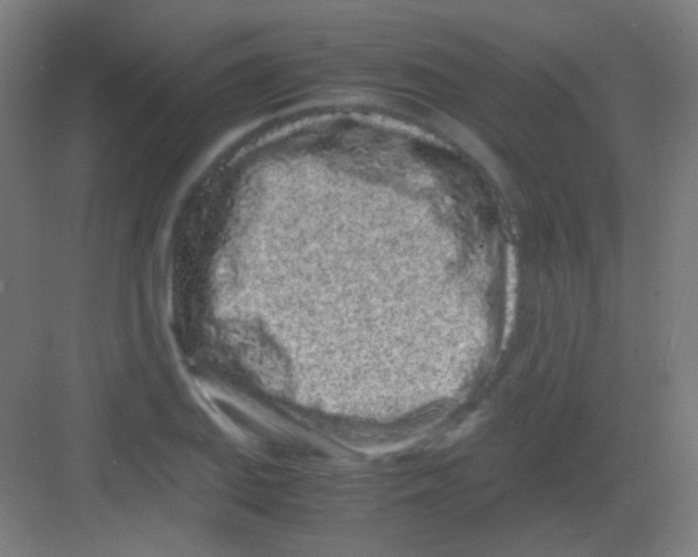 X0000081351127200702082247