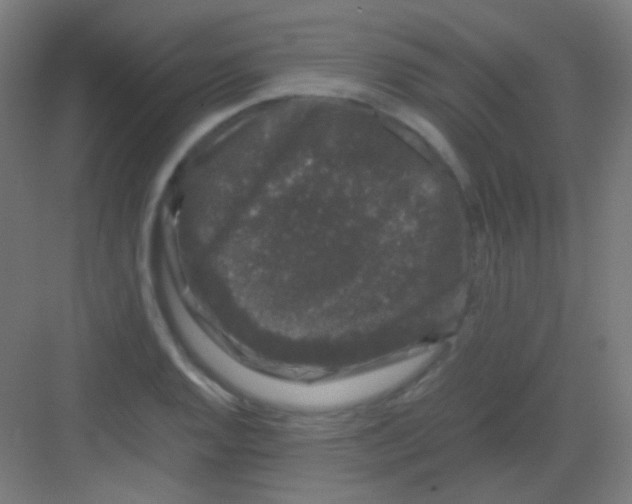 X0000081351128200702082247