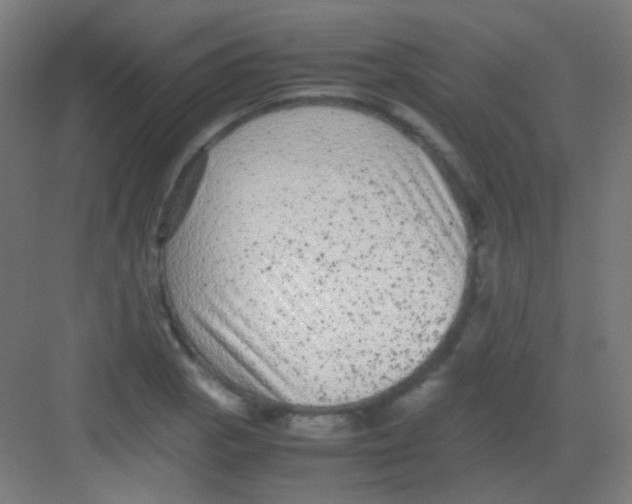 X0000081351129200702082247