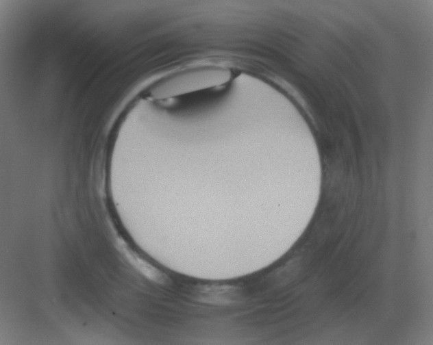 X0000081351131200702082247