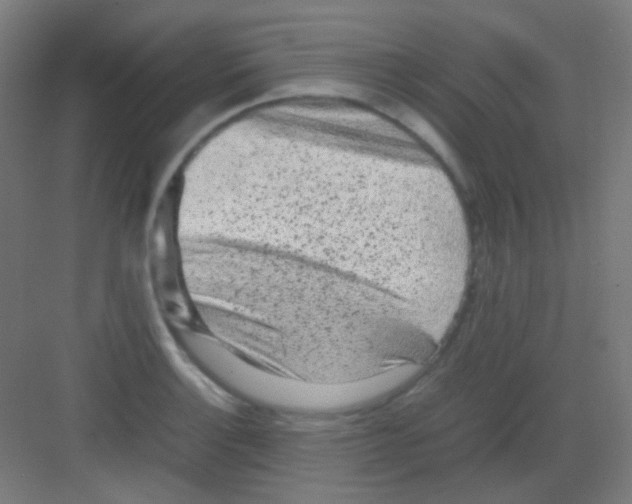 X0000081351132200702082247