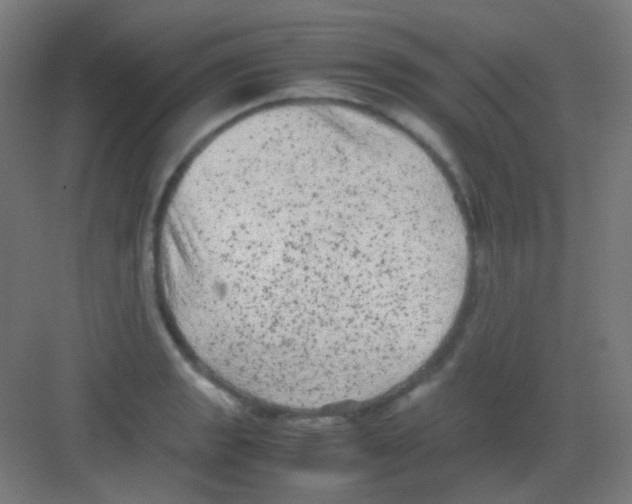 X0000081351133200702082248