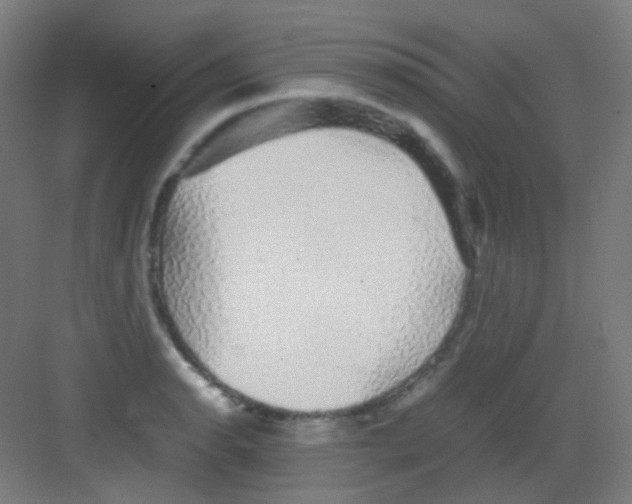 X0000081351134200702082248