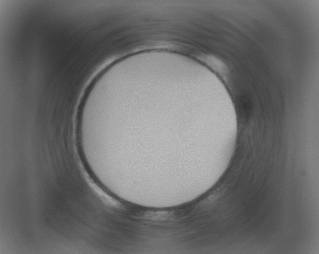 X0000081351135200702082248