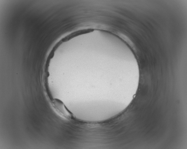 X0000081351136200702082248