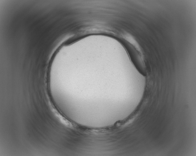 X0000081351138200702082248