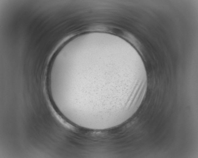 X0000081351139200702082248