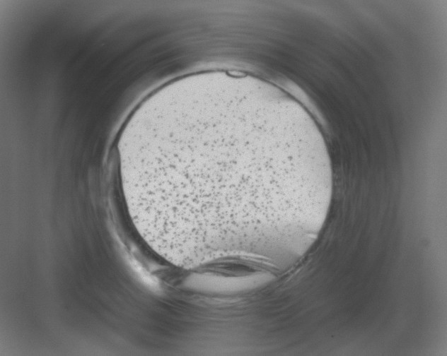 X0000081351140200702082248