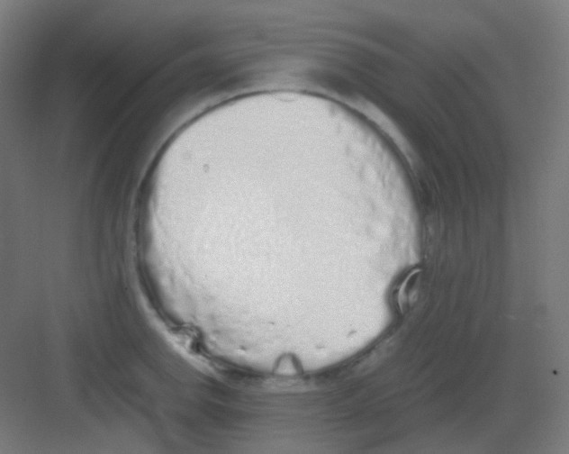 X0000081351142200702082248