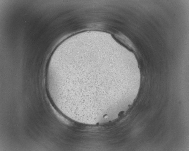 X0000081351143200702082248