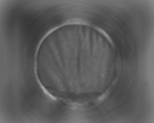 X0000081351144200702082248