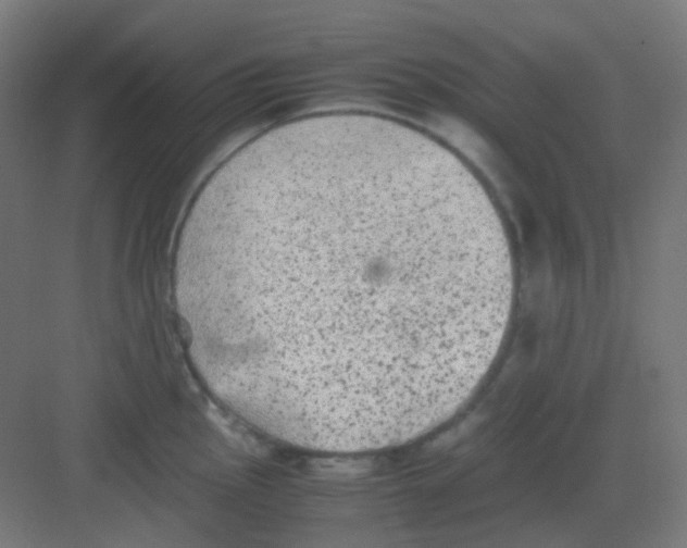 X0000081351145200702082248