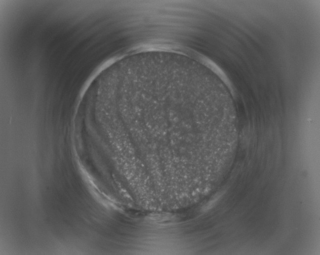 X0000081351146200702082248