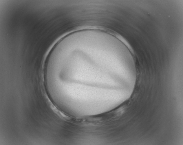 X0000081351148200702082248