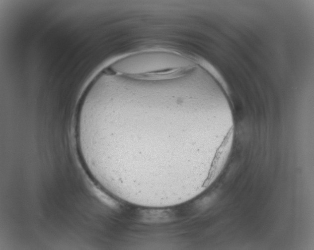 X0000081351149200702082248