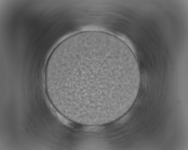 X0000081351150200702082248