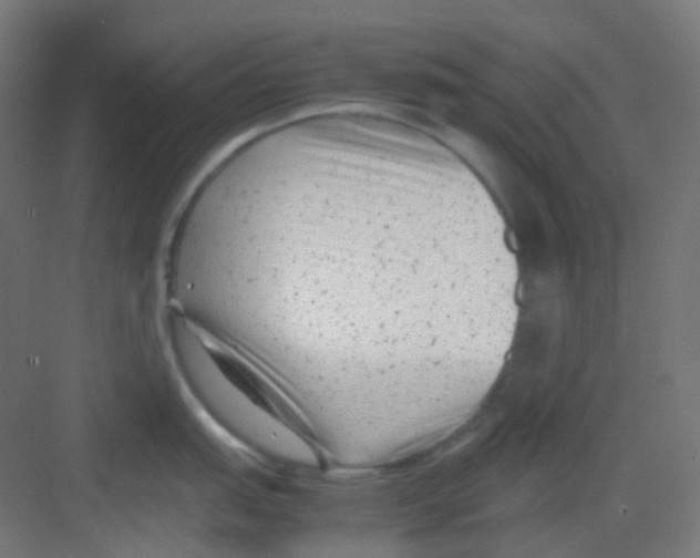 X0000081351151200702082248