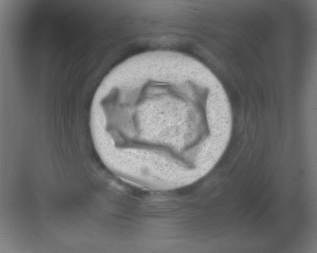 X0000081351153200702082247