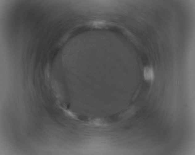 X0000081351155200702082247