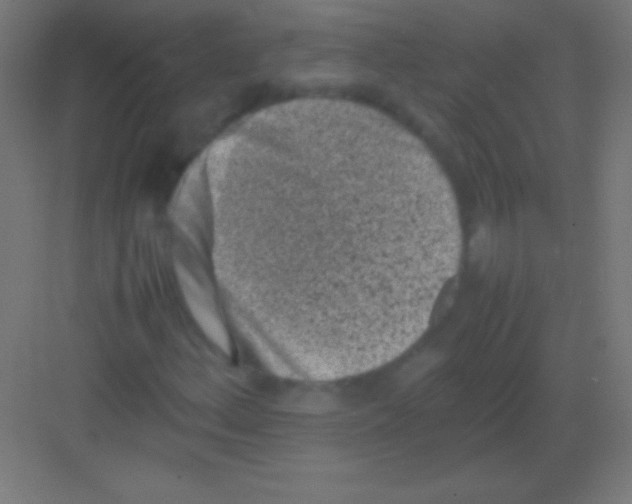 X0000081351156200702082247