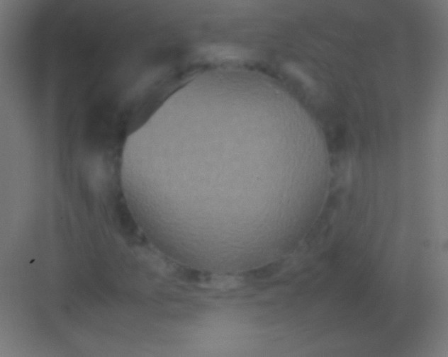 X0000081351157200702082247