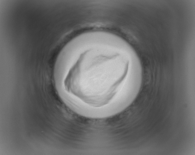 X0000081351158200702082247