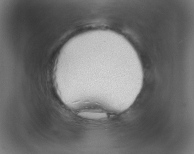 X0000081351159200702082247