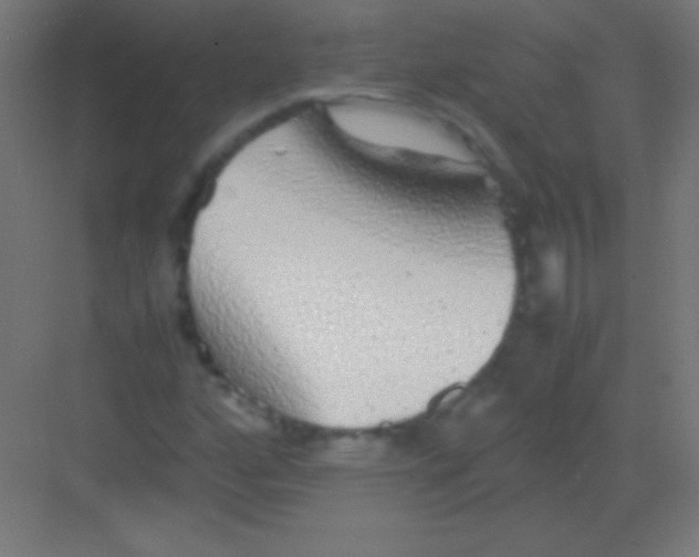 X0000081351160200702082247