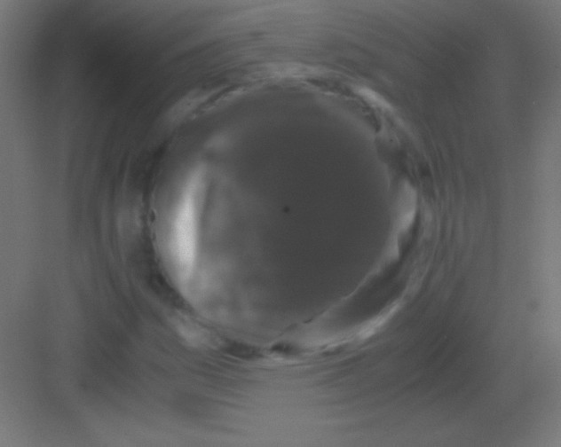 X0000081351161200702082247