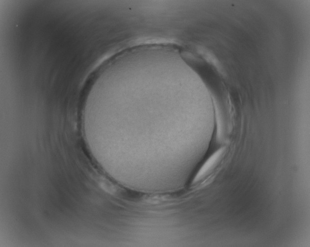 X0000081351165200702082247