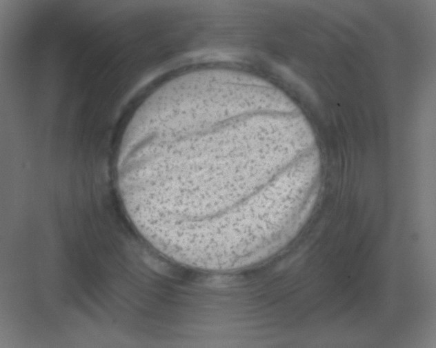 X0000081351166200702082247