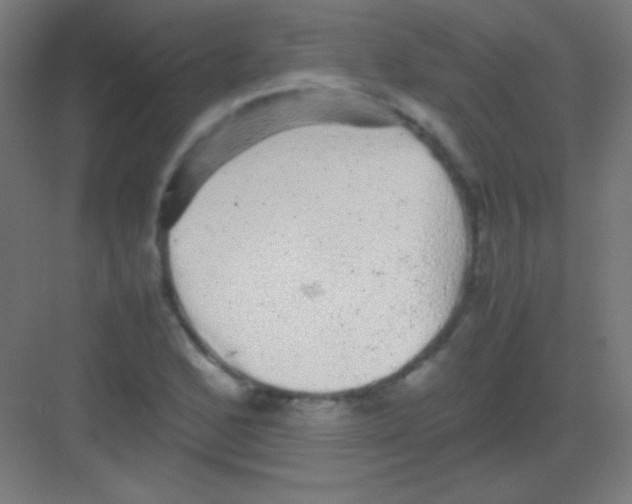 X0000081351168200702082247