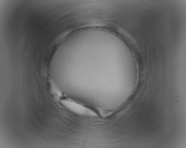 X0000081351169200702082247