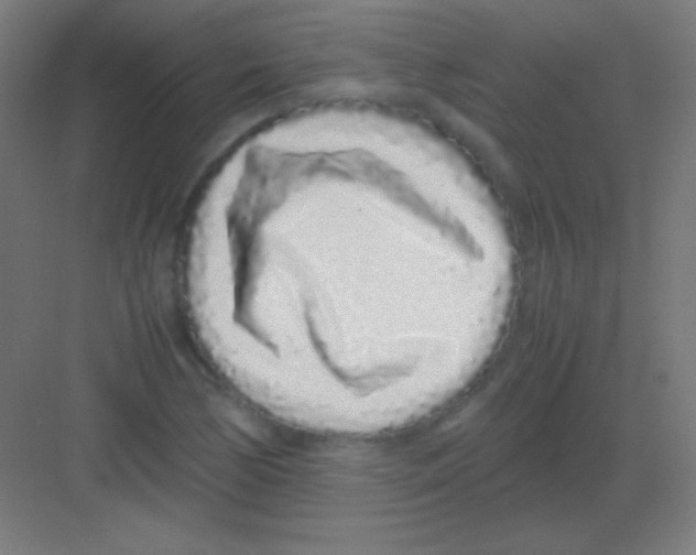 X0000081351170200702082247